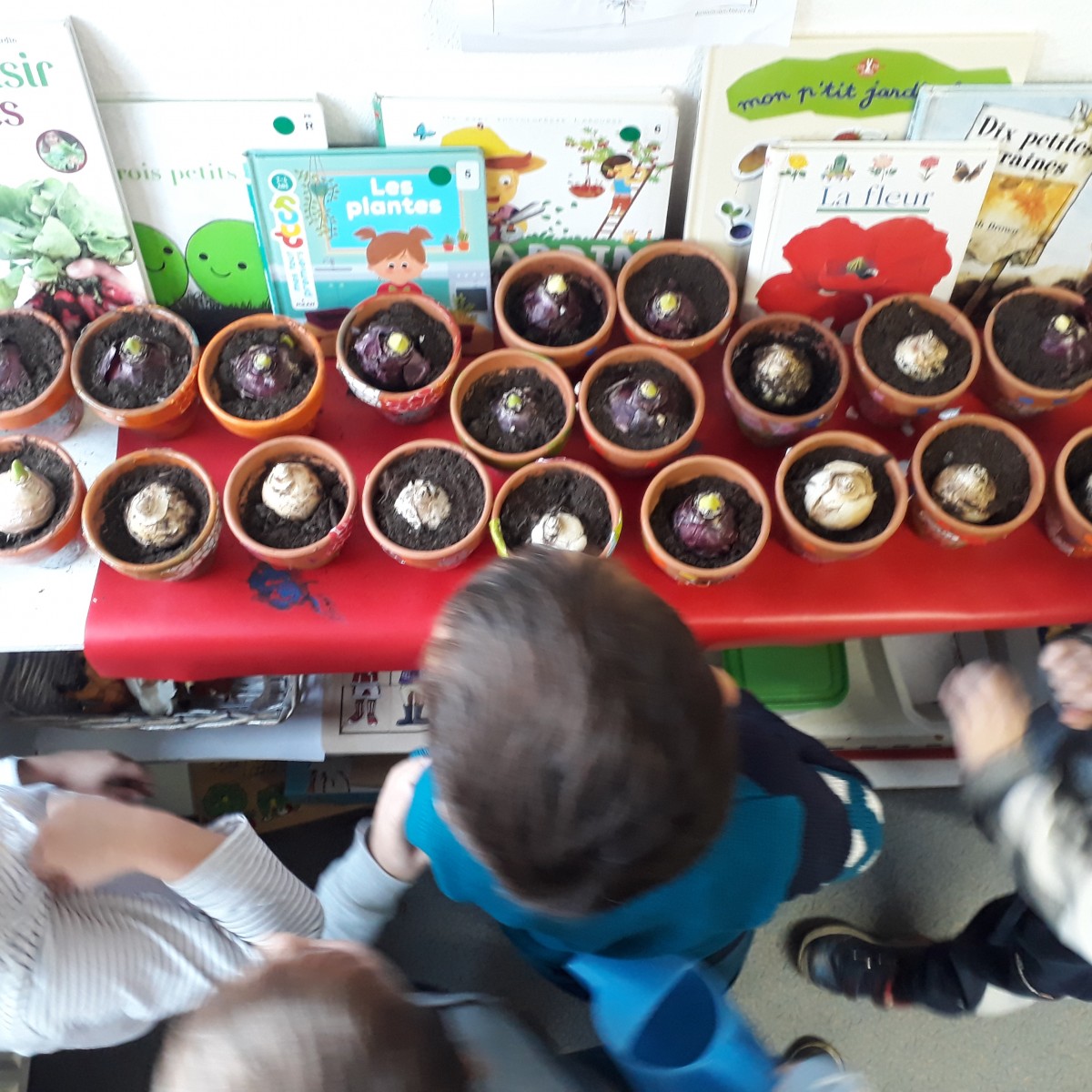 A la découverte de la nature