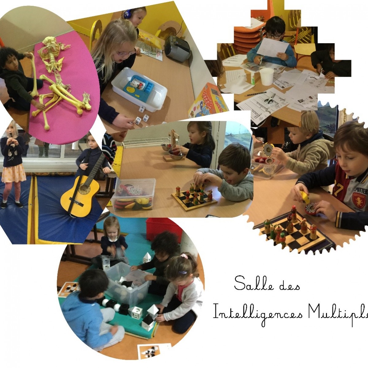 Les intelligences multiples