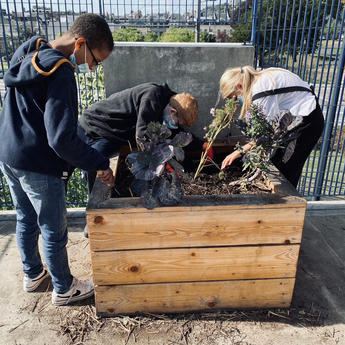 C'est parti pour les activités du midi !