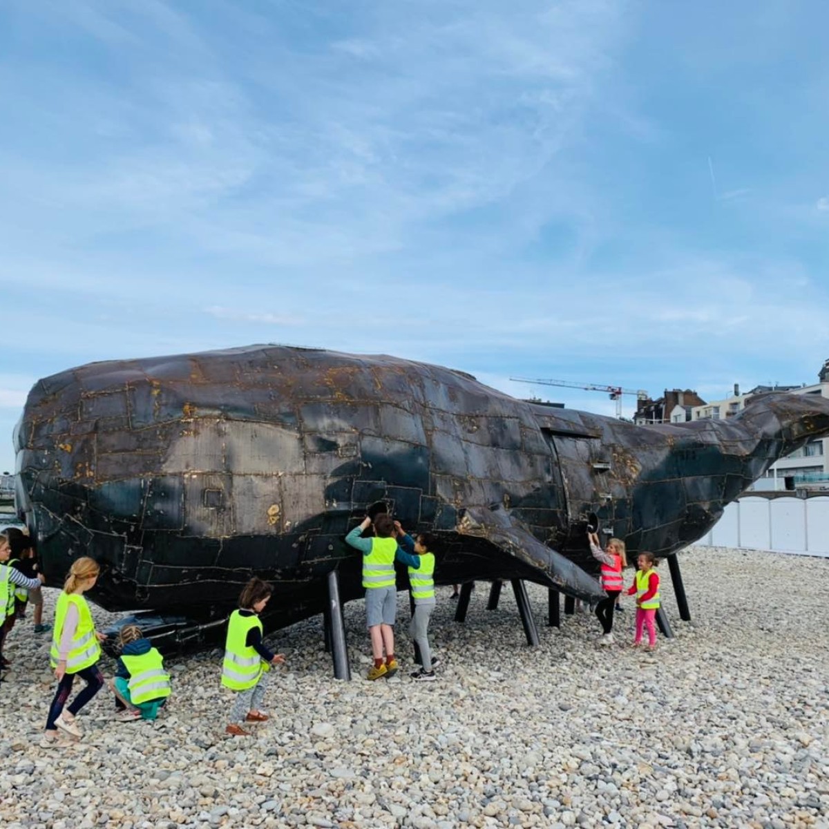 Marche matinale du vendredi