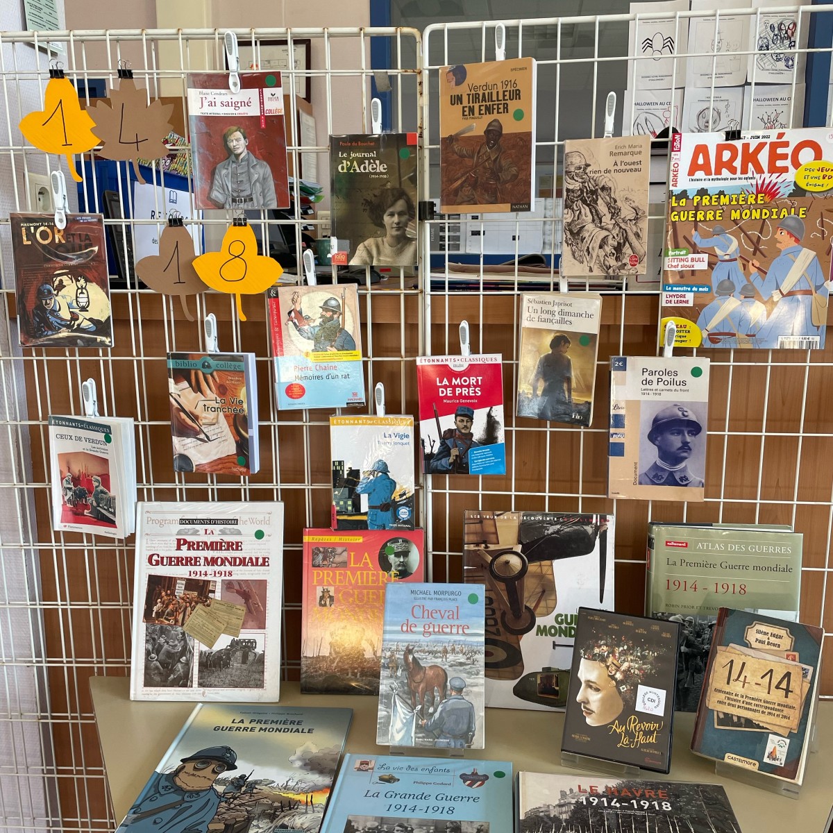 Sélection sur la 1ère Guerre Mondiale au CDI