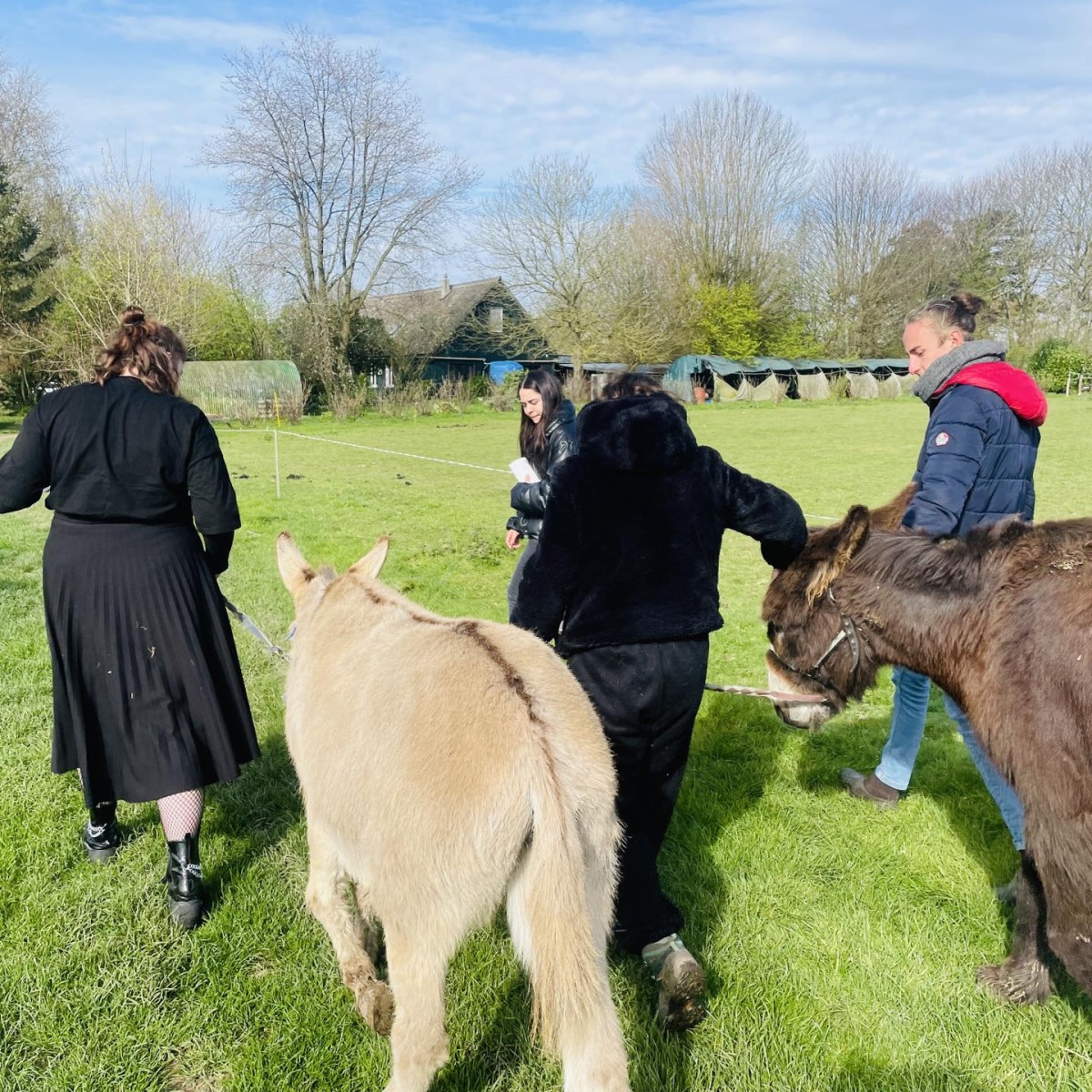 Découverte de la ferme Piân’Piâne