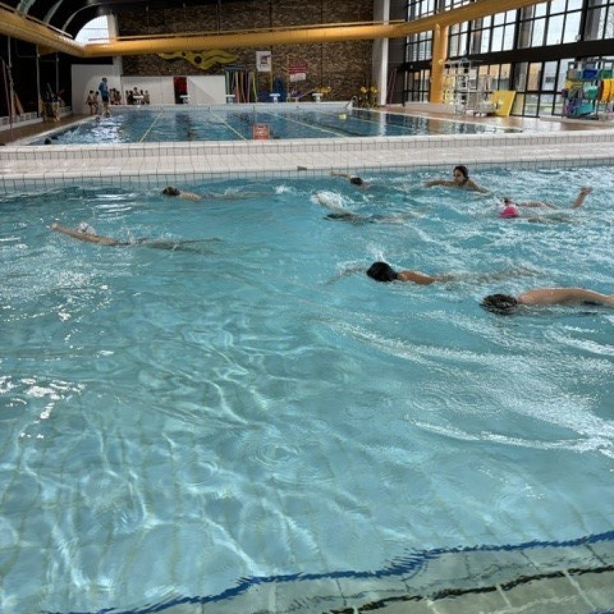 Jeudi, c'est piscine !