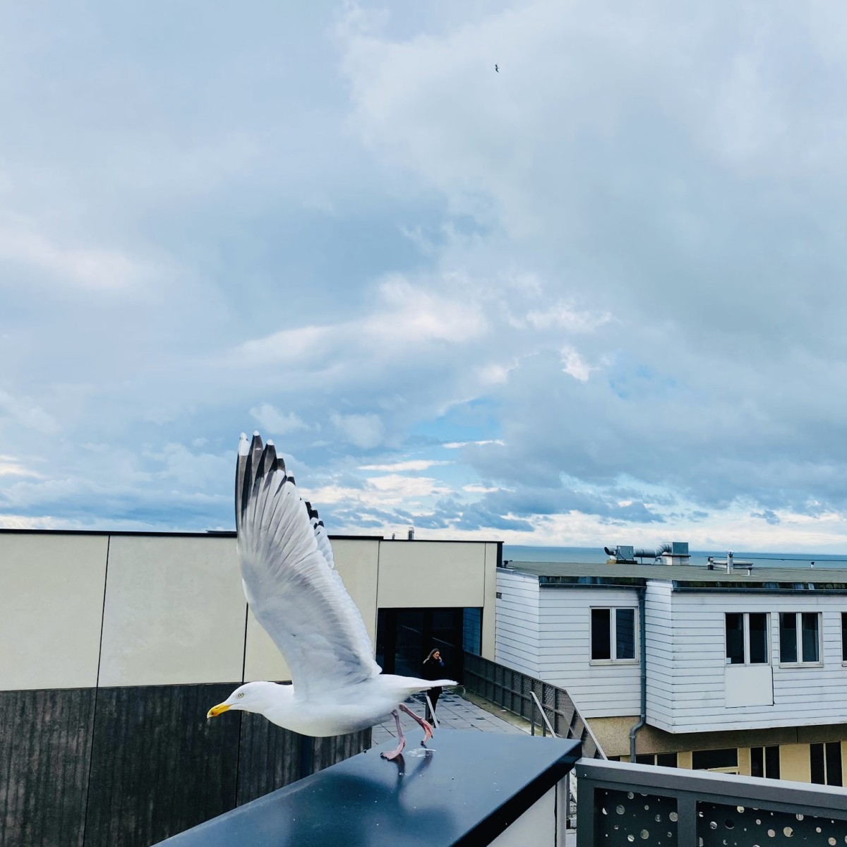 Joyeuse fête de l’Ascension