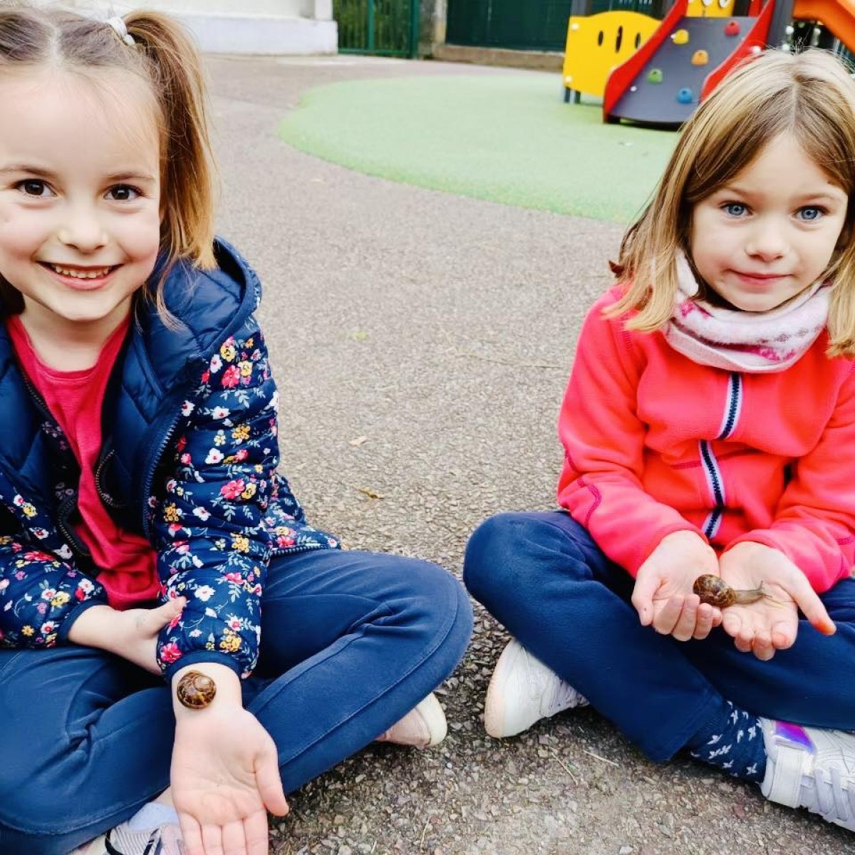 Création d’une escargotière