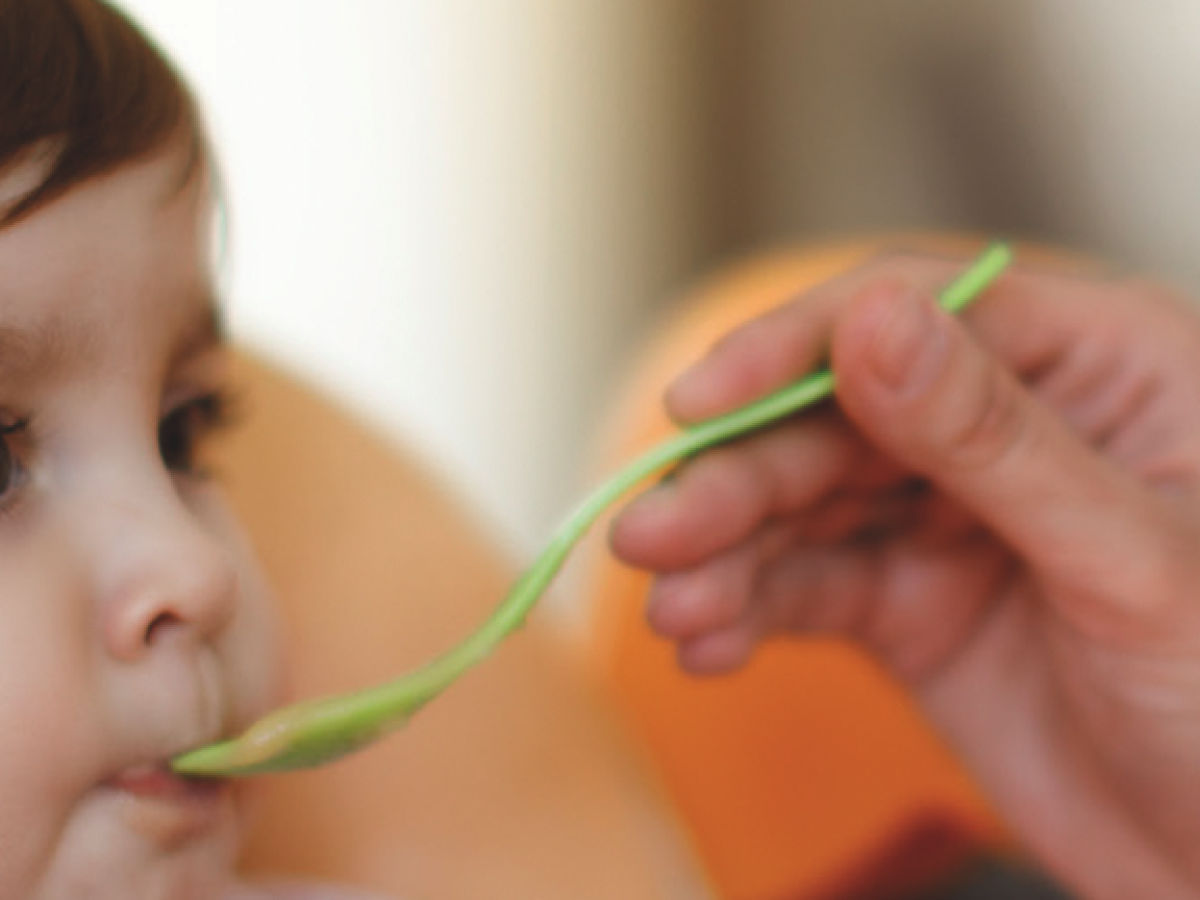 CAP Accompagnement Éducatif Petite Enfance