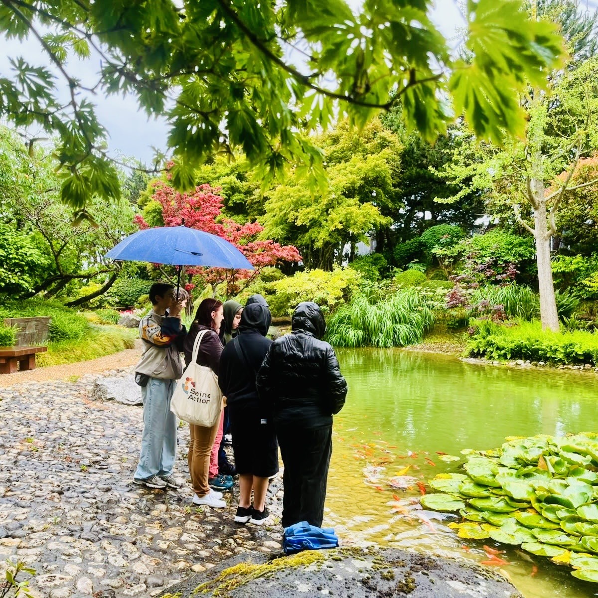 À la découverte du jardin japonais