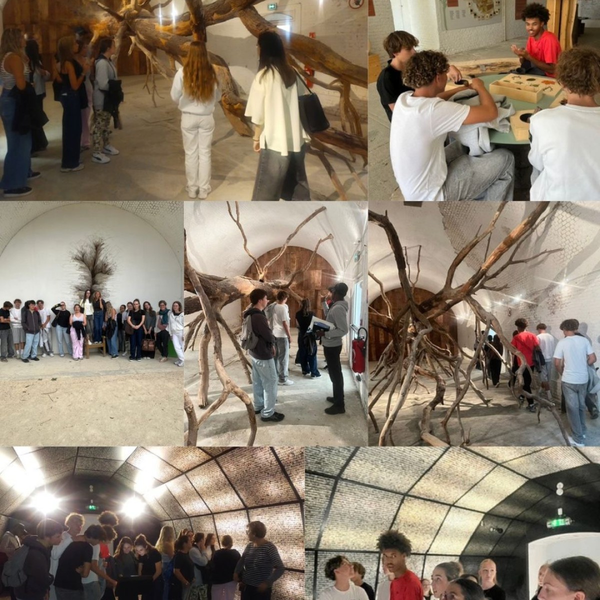 Sortie culturelle aux jardins suspendus