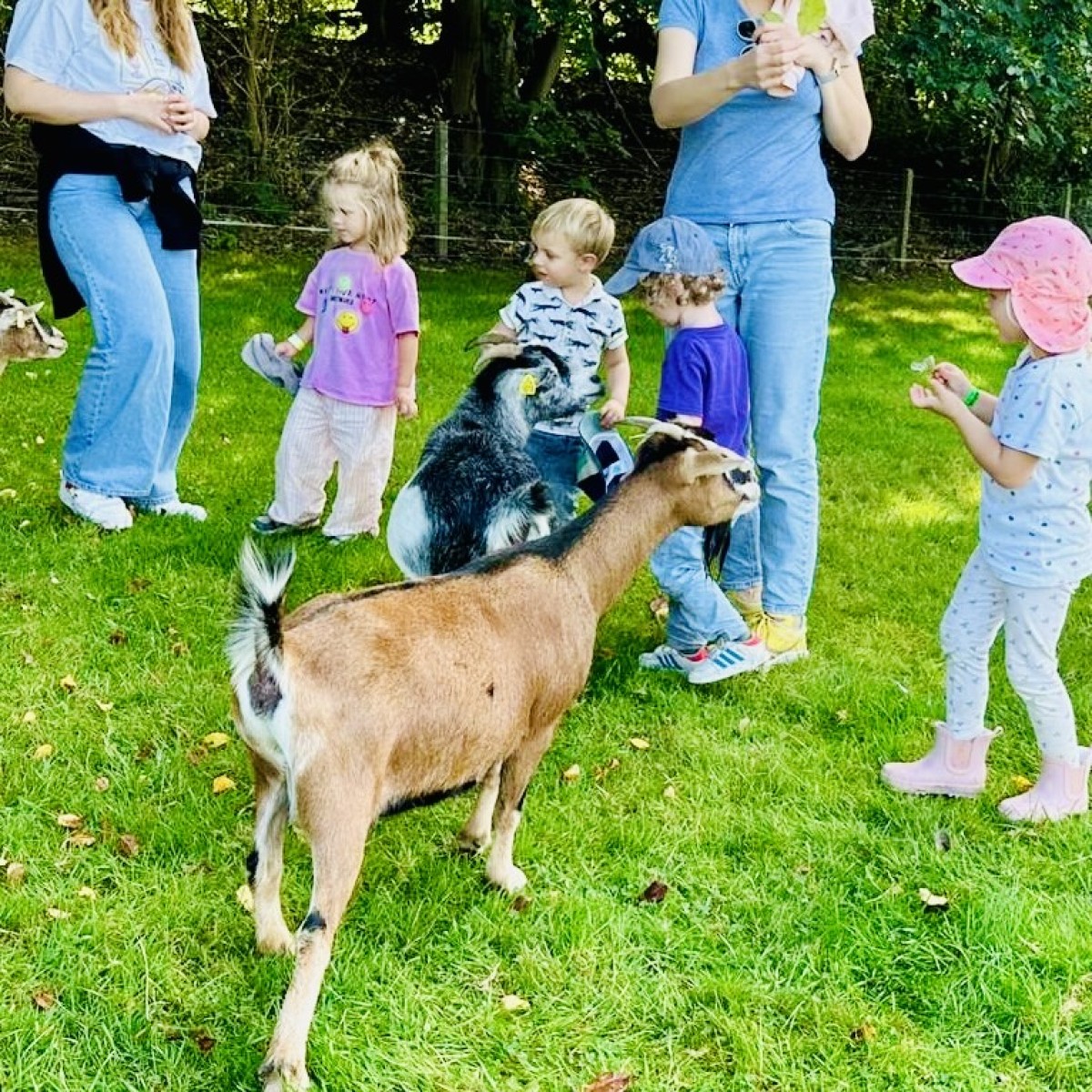 Sortie à la ferme d'Épaville