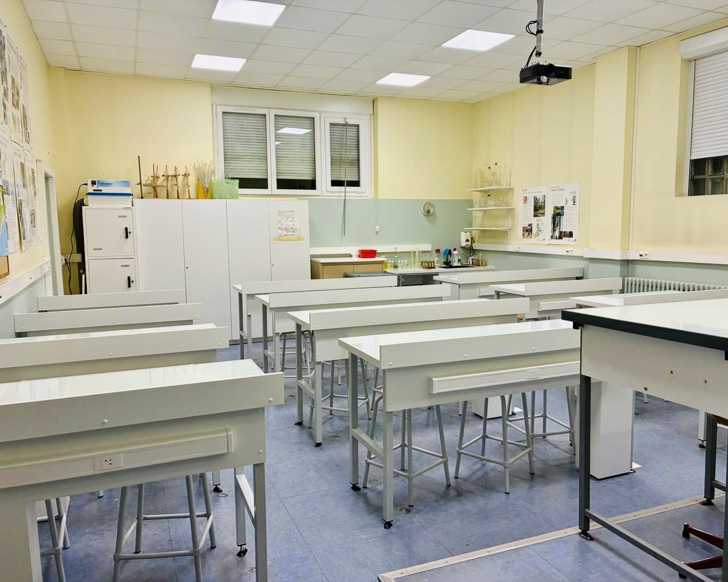 4d78fdae 16d8 49db 8f93 c3217e3d2c2d