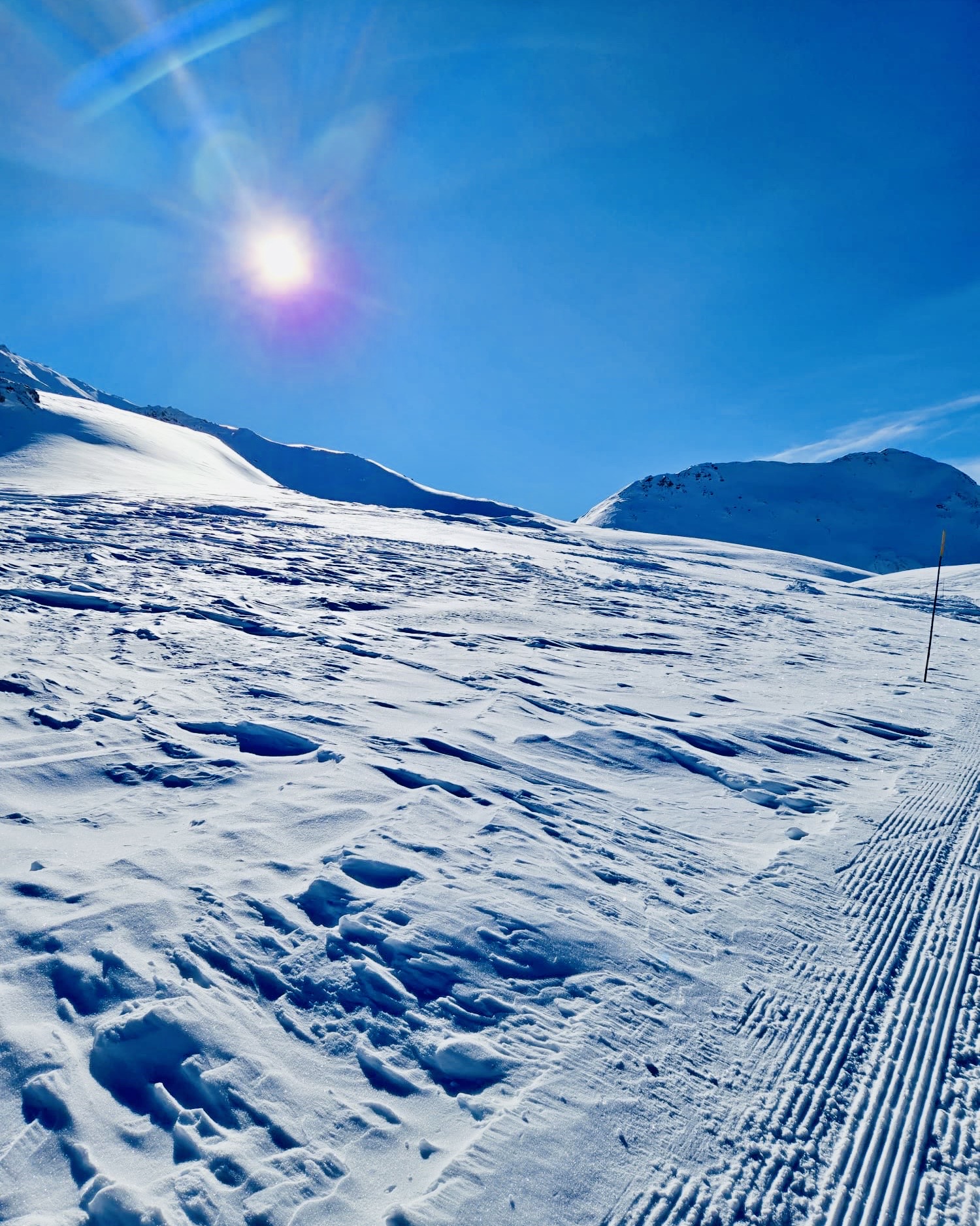 4448f65d 6f47 47fd a1d8 a9abfd948059