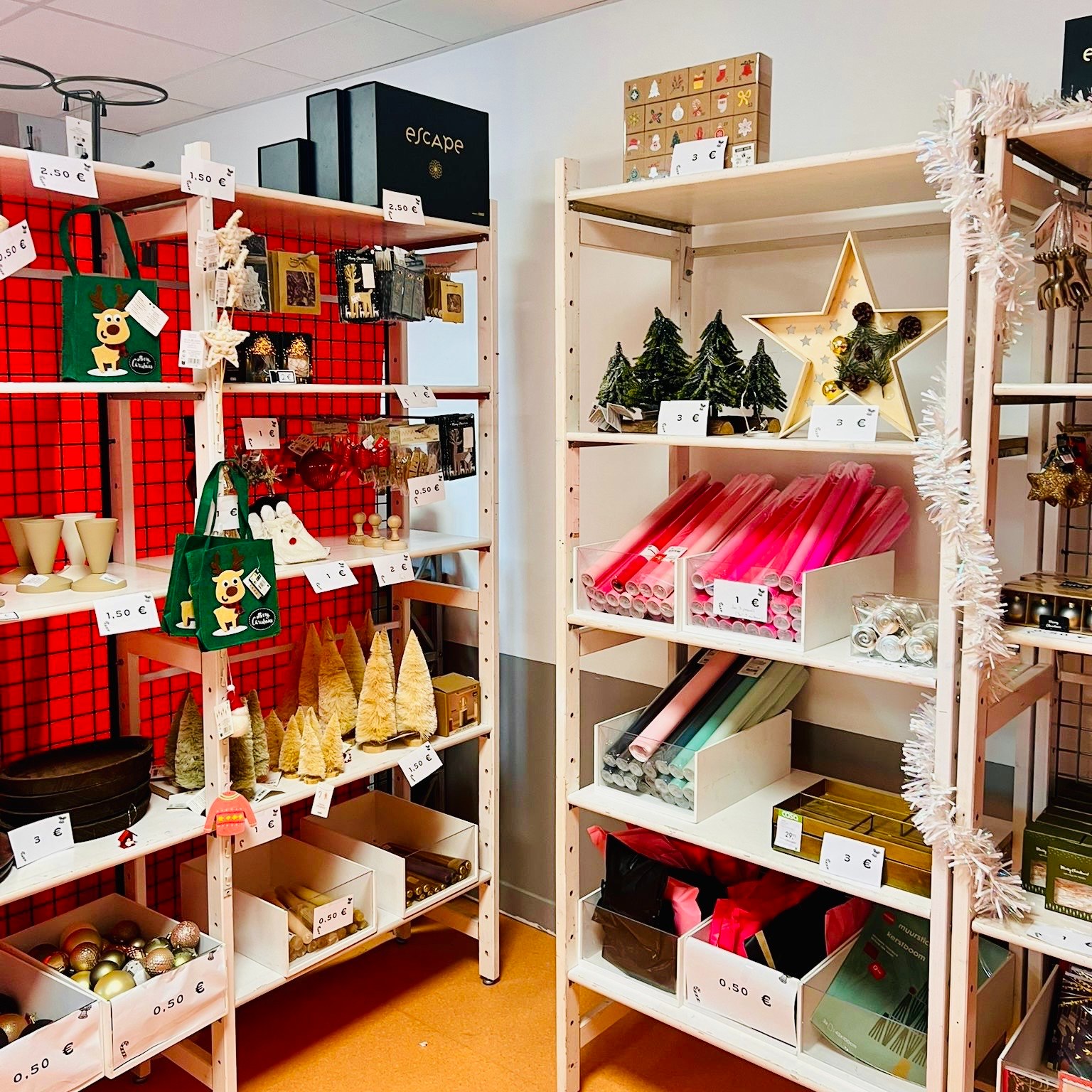 595882627 1011255544768531 7379994017968565296 n