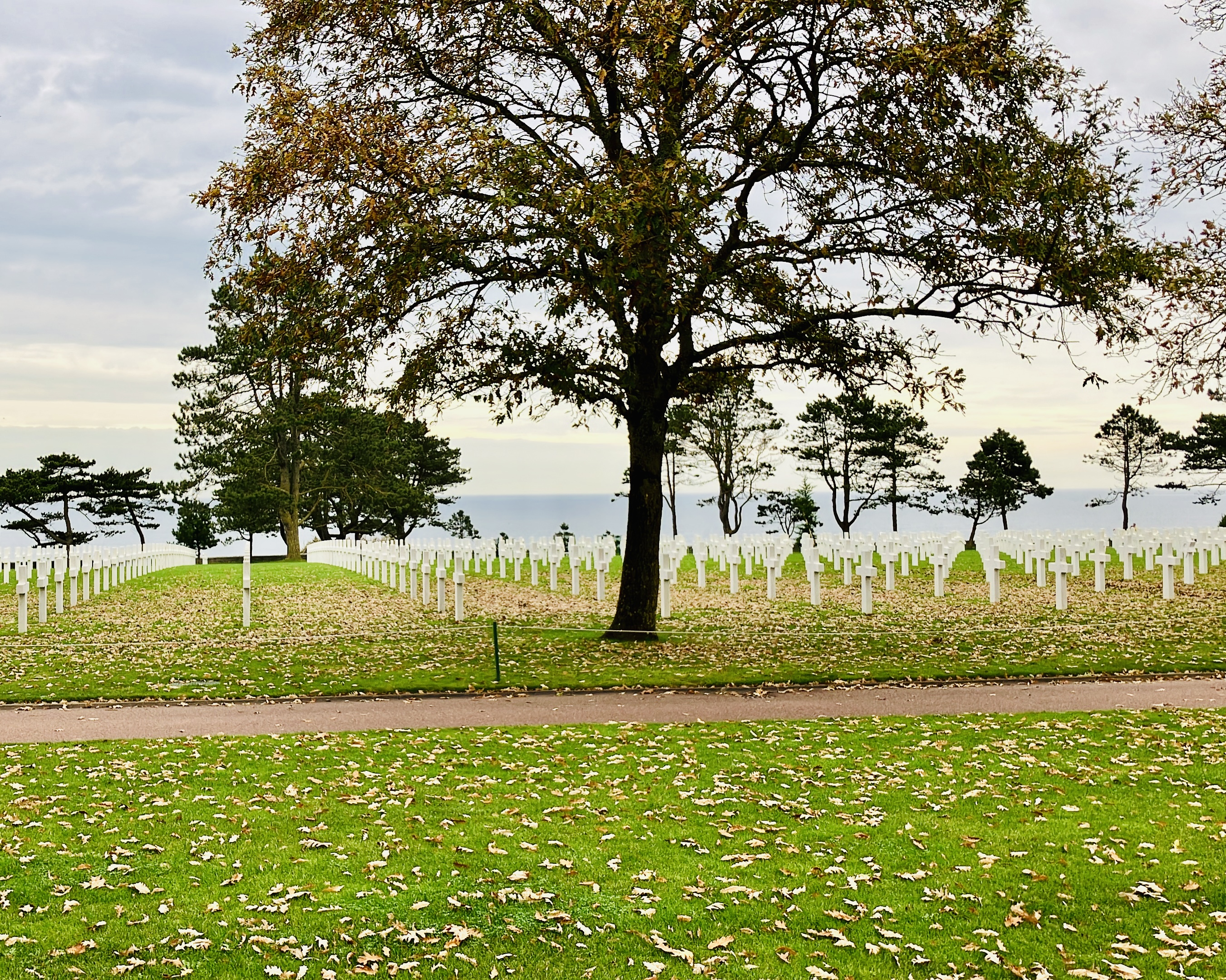 86DD148A BFCA 46D9 A44D 9BE3272E32E3