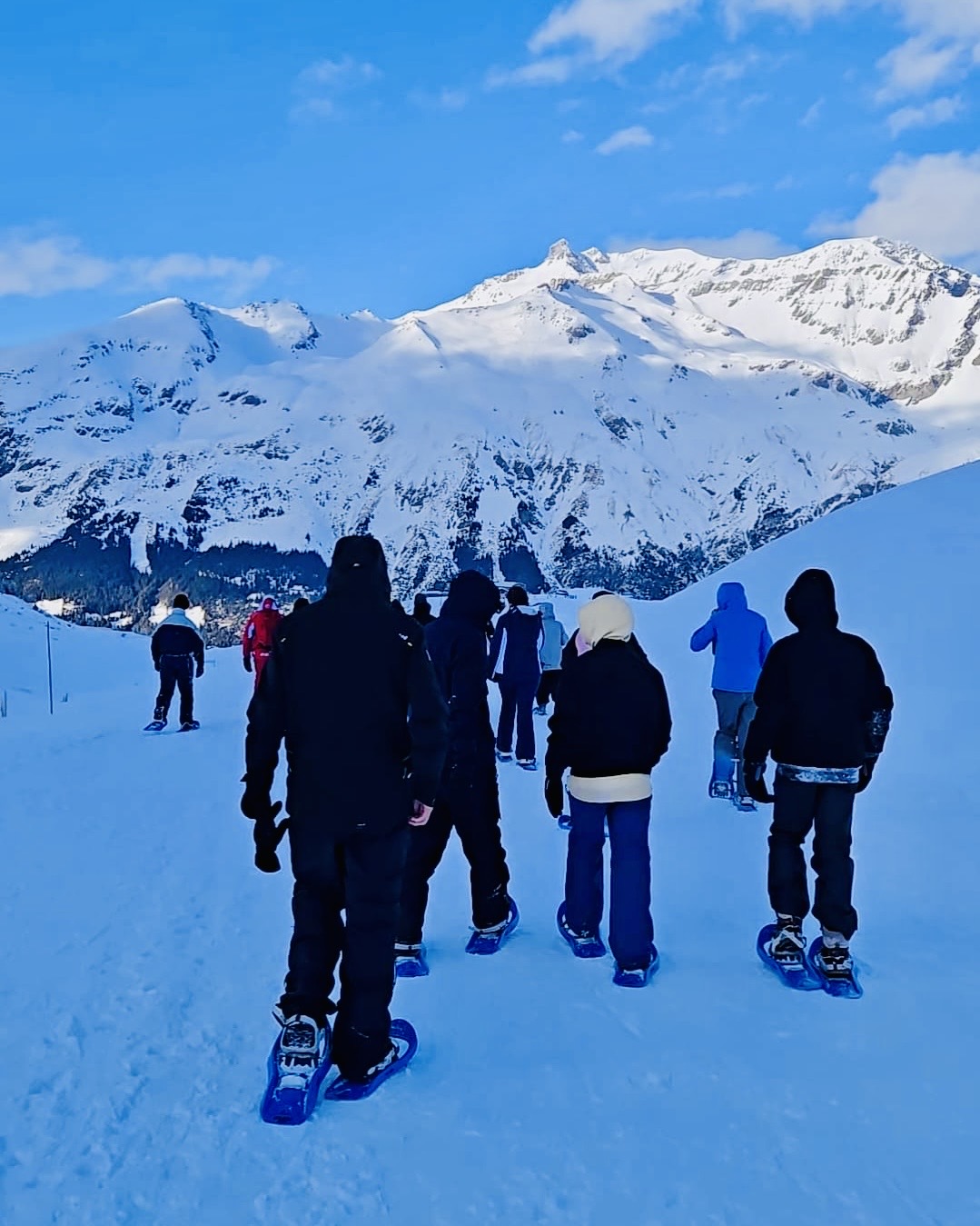 9df95a4e bc56 4425 9d73 7458f06c468f