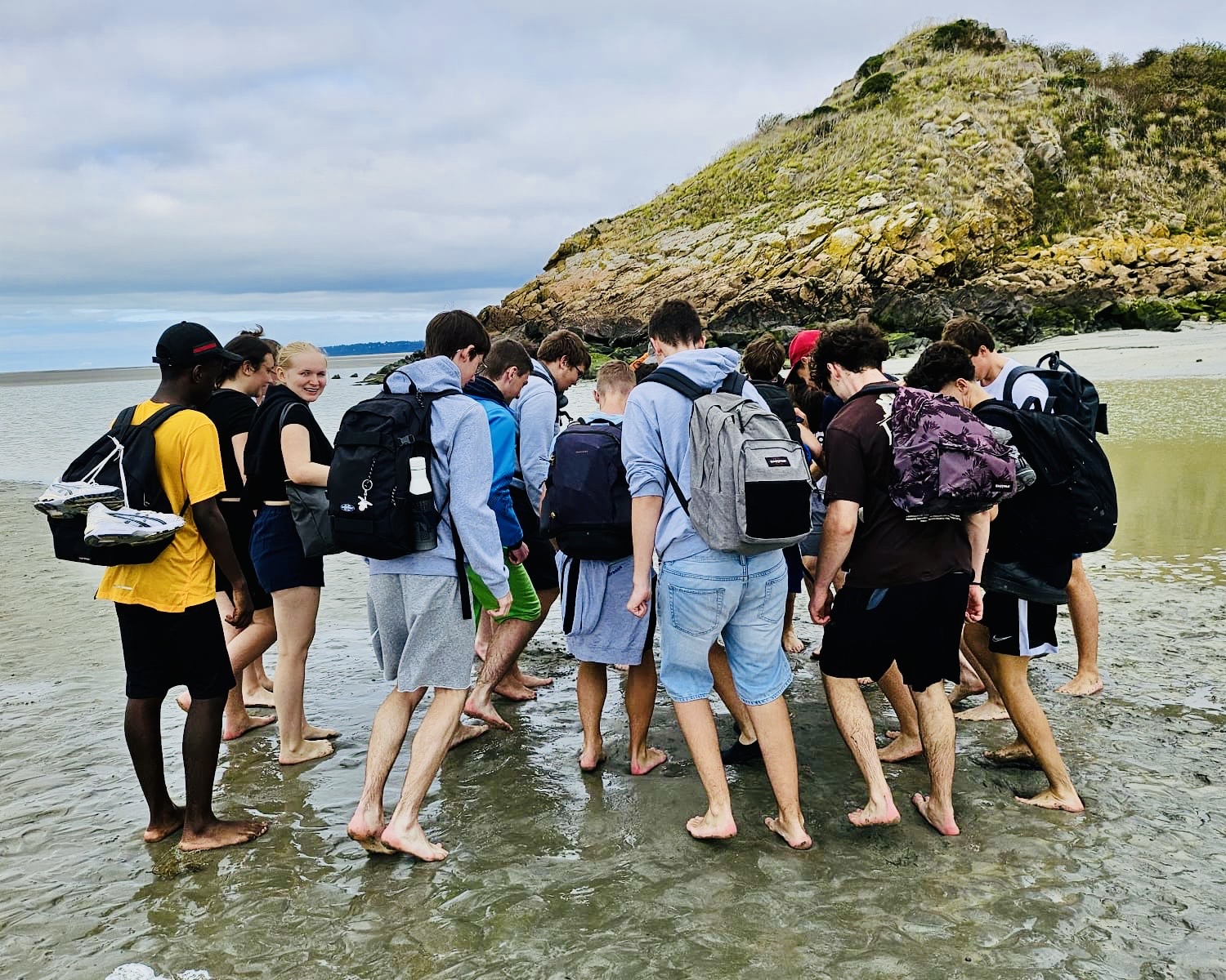 bf266e1b 6e6b 4e24 8c31 c6620ff2844c