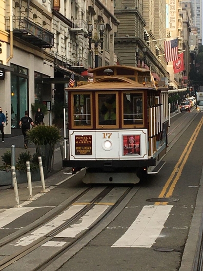 san francisco 49